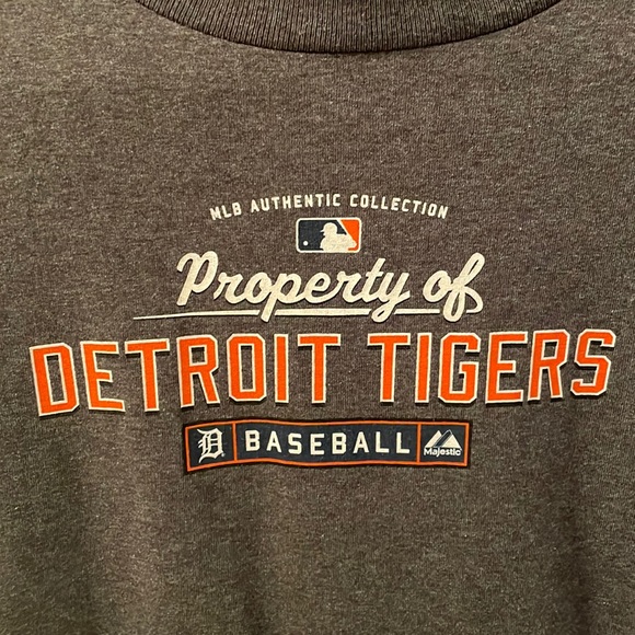 Detroit Tigers - Picture 1 of 2